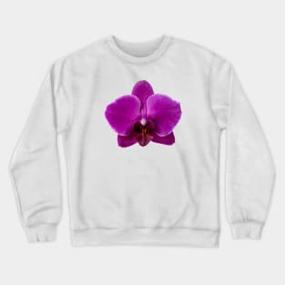 Violet Orchid Crewneck Sweatshirt